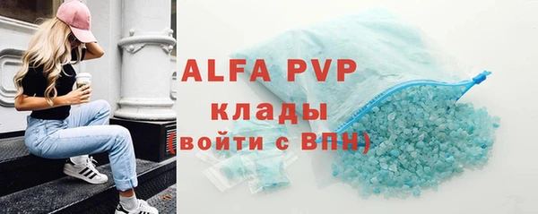 шишки Белокуриха