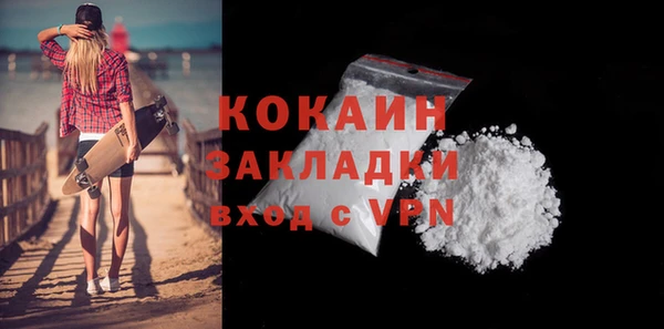 шишки Белокуриха