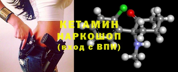 шишки Белокуриха