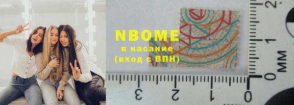 шишки Белокуриха