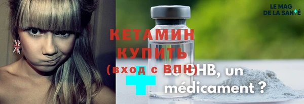 шишки Белокуриха