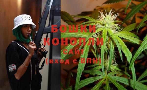 шишки Белокуриха