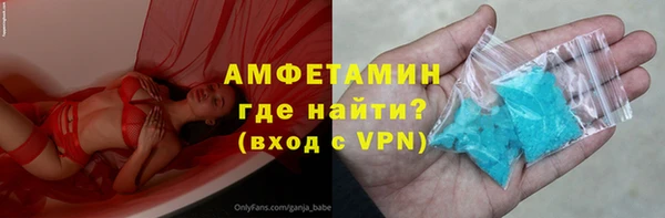шишки Белокуриха
