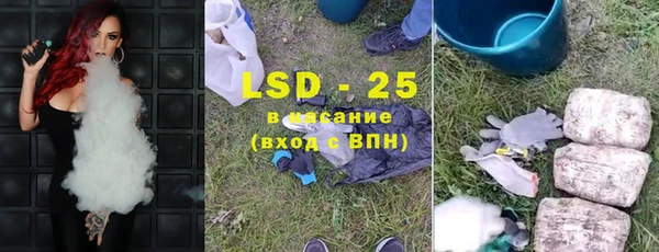 шишки Белокуриха