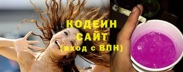 шишки Белокуриха