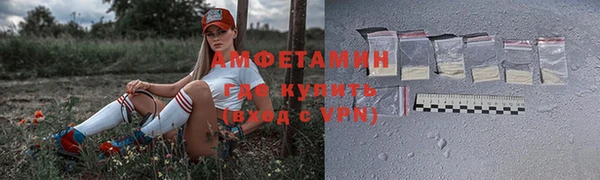 шишки Белокуриха