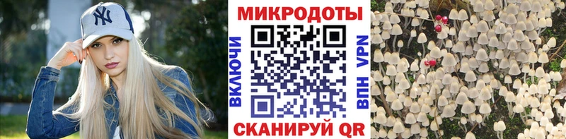 Галлюциногенные грибы Psilocybe Заполярный